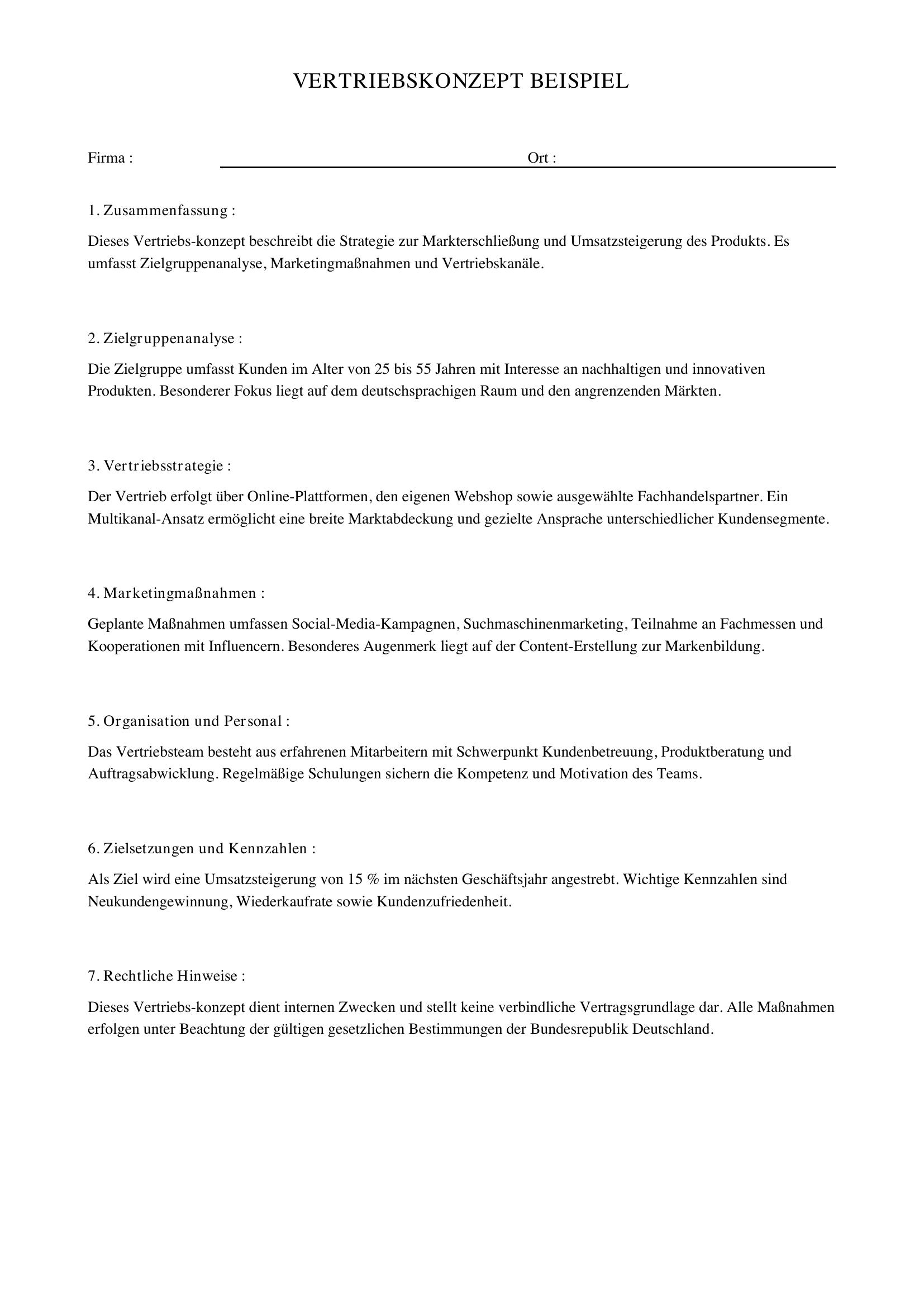 Vertriebskonzept Beispiel